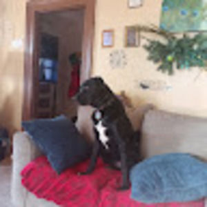 Meet your Posher, Carrie